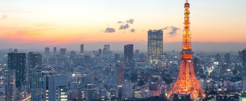 IDEAS FOR GOOD – March 5th Online Event “Tokyo Meets Donut: A Workshop to Think about Tokyo’s Future with Doughnuts Economics”