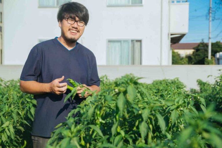 Harch Circular Economy Hub will hold event “Circular farming and public ...