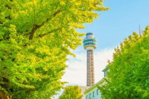 【Circular Yokohama】3/12イベント「『バイオダイバーシティ・コラージュ』ワークショップ&事業相談会」を開催します