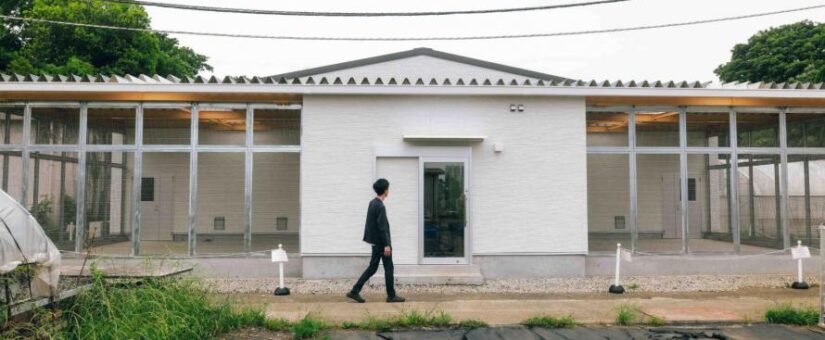 【IDEAS FOR GOOD】11/15開催「身体知×サイエンスで探ろう。循環型の鶏舎で、人も動物も幸せになる食の未来を考える【全6回体験シリーズ Vol.3】」を開催します
