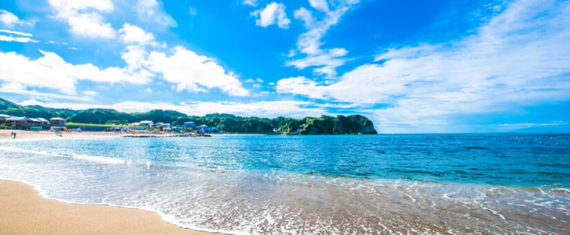 【IDEAS FOR GOOD】11/22~23体験ツアー「いのちをいただき、生き方を編み直す。『食の未来』を対話する旅【全6回体験シリーズ Vol.4】」を開催します