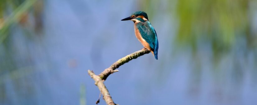 【Circular Yokohama】12/22開催 ヤマハ発動機のイベント「自然から学ぶ『再生のデザイン』。バイオミミクリーとランドスケープをヒントに、次のビジネスを構想する｜PLAY for REGENERATION Vol.5」に協力します