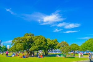 サーキュラーシティ移行指標を開発、ダッシュボードを公開しました