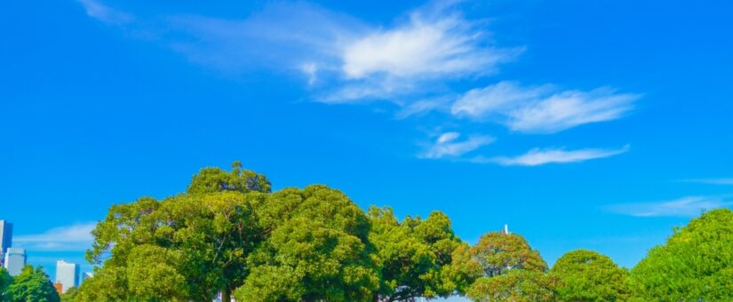 サーキュラーシティ移行指標を開発、ダッシュボードを公開しました