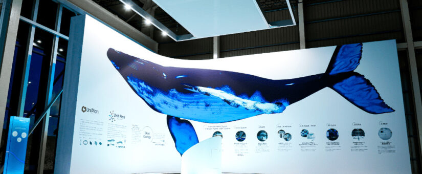 【Circular Economy Hub】2/5「イベント業界の常識を変える、循環型ものづくりの最前線  昭栄美術 SHOEIベイスタジオ 見学会」を開催します