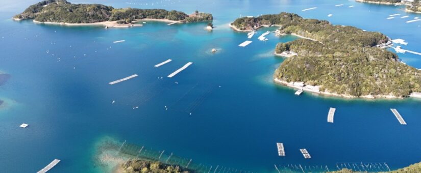 伊勢新聞に、当社が参画した三重・伊勢での「英虞湾の浜掃除ボランティア＋ワークショップ」の様子が掲載されました