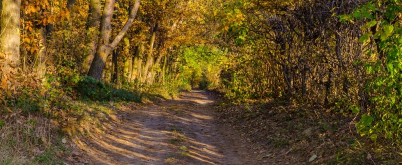 【IDEAS FOR GOOD】4/13＠東京・虎ノ門「『デザイン』という未来への招待。デンマークのKontrapunktと考える、効率を超えた“誠実さ“の作法」を開催します